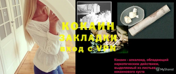 ПСИЛОЦИБИНОВЫЕ ГРИБЫ Горнозаводск