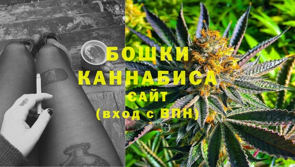 ПСИЛОЦИБИНОВЫЕ ГРИБЫ Горнозаводск