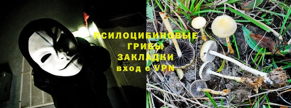 а пвп мука Горно-Алтайск