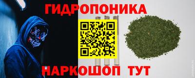 хмурый Кандалакша
