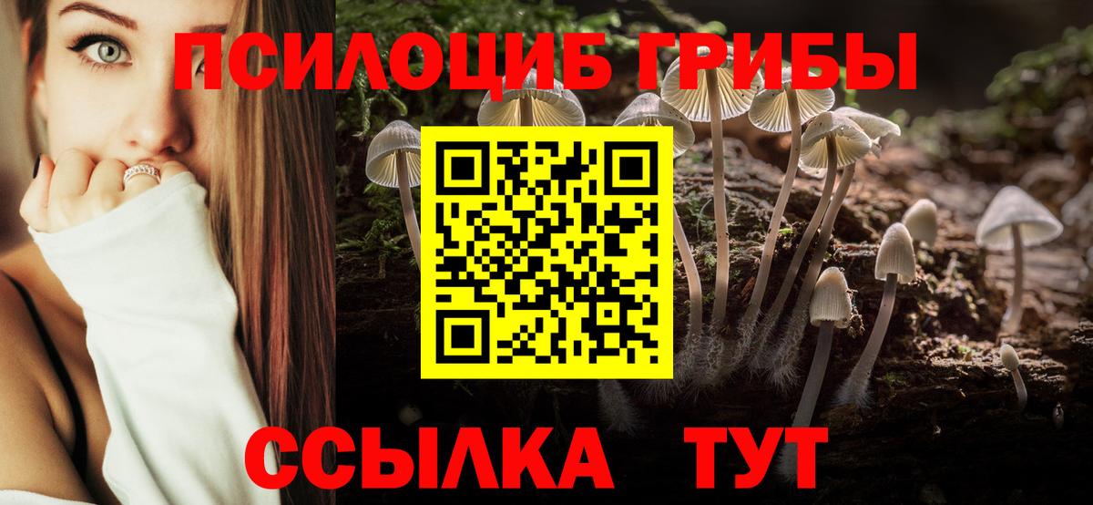 Псилоцибиновые грибы Psilocybine cubensis  наркота  Мценск  Вход с VPN  Псилоцибиновые грибы мухоморы 
